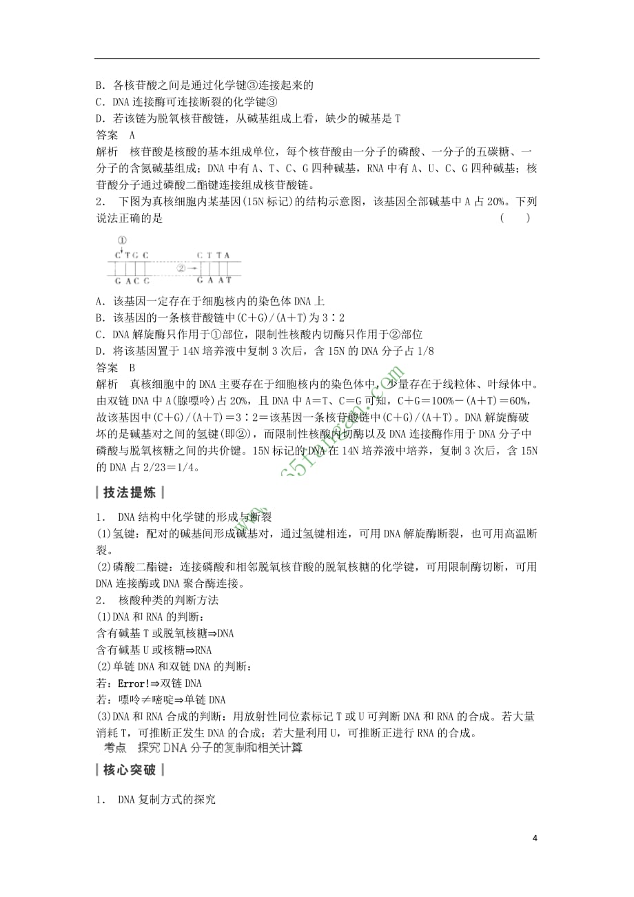 重庆市分水镇高三生物 第3章 基因的本质 考点四 聚焦DNA分子的结构及碱基计算复习 新人教版必修2_第4页