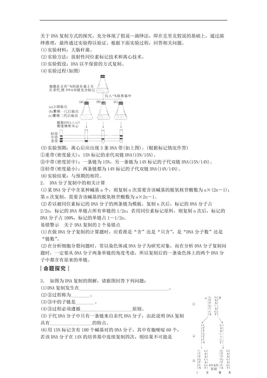 重庆市分水镇高三生物 第3章 基因的本质 考点四 聚焦DNA分子的结构及碱基计算复习 新人教版必修2_第5页