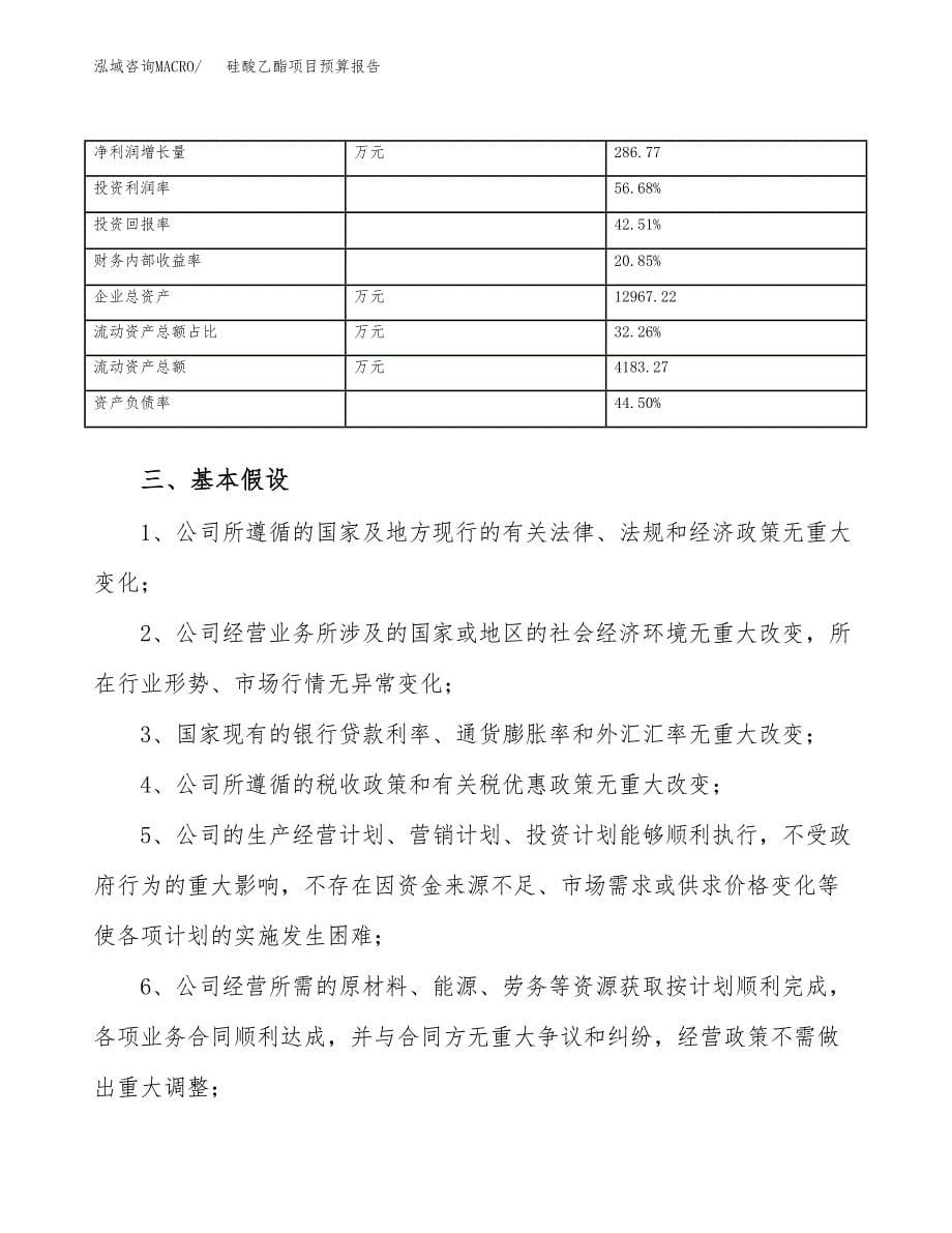 硅酸乙酯项目预算报告年度.docx_第5页