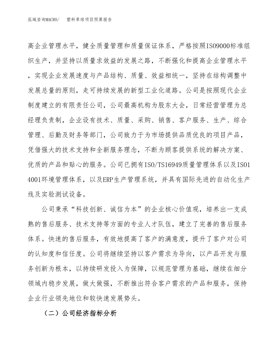 塑料草球项目预算报告年度.docx_第3页