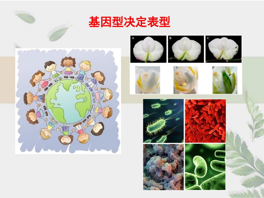 染色质免疫沉淀讲解_第2页