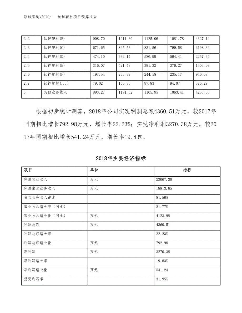 钛锌靶材项目预算报告年度.docx_第5页