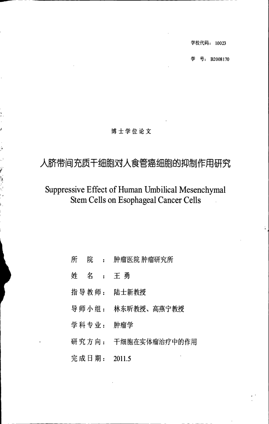 人脐带间充质干细胞对人食管癌细胞的抑制作用研究(1)_第1页