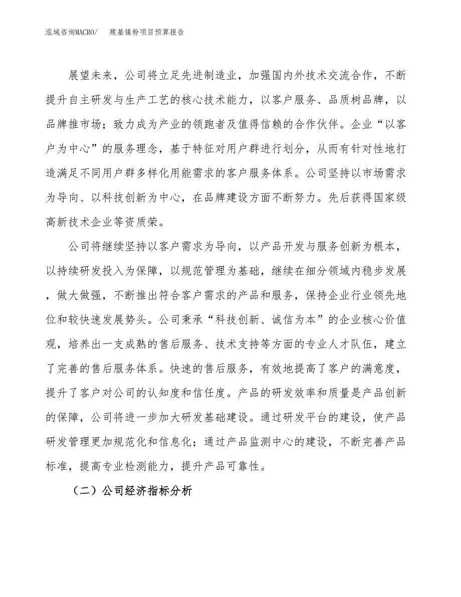 羰基镍粉项目预算报告年度.docx_第3页