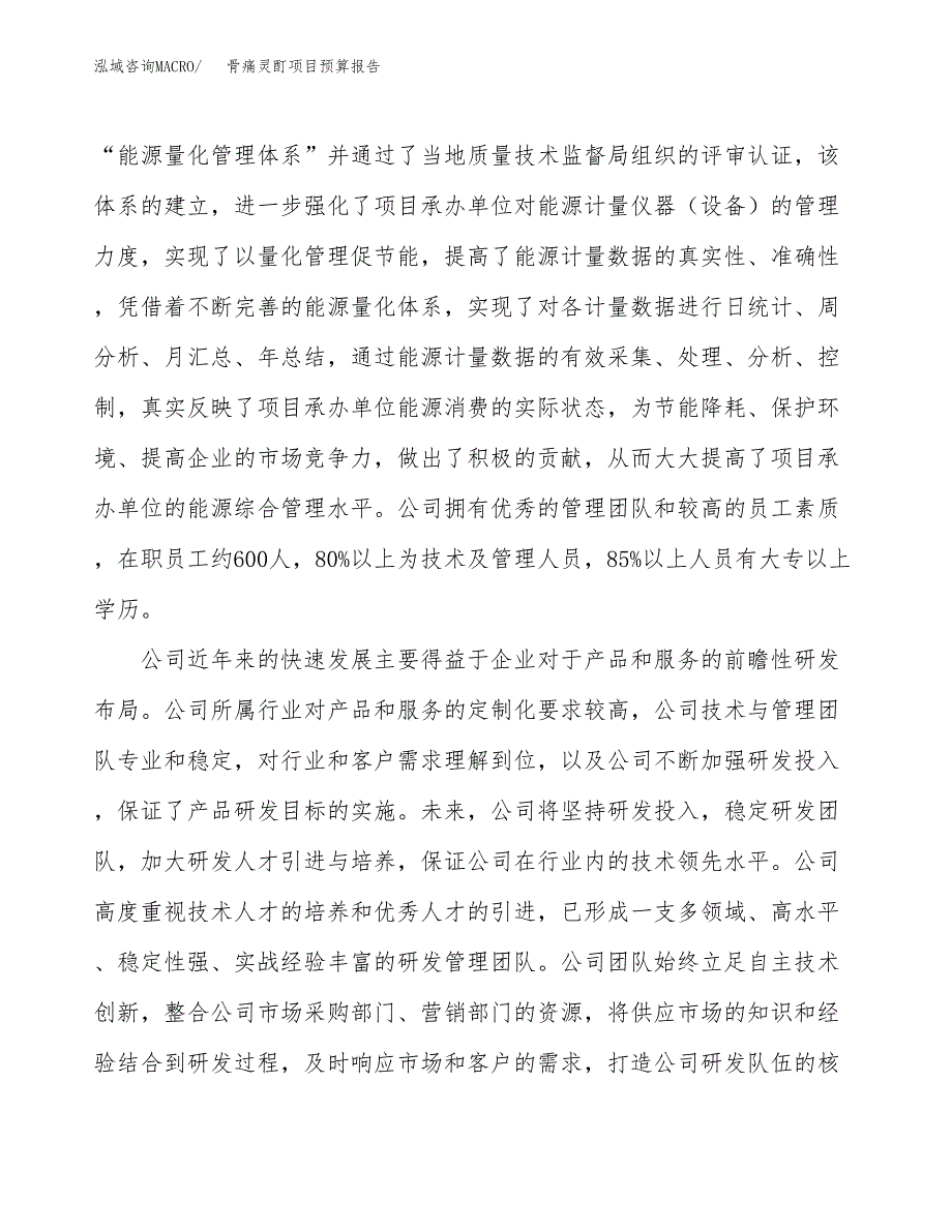 骨痛灵酊项目预算报告年度.docx_第3页