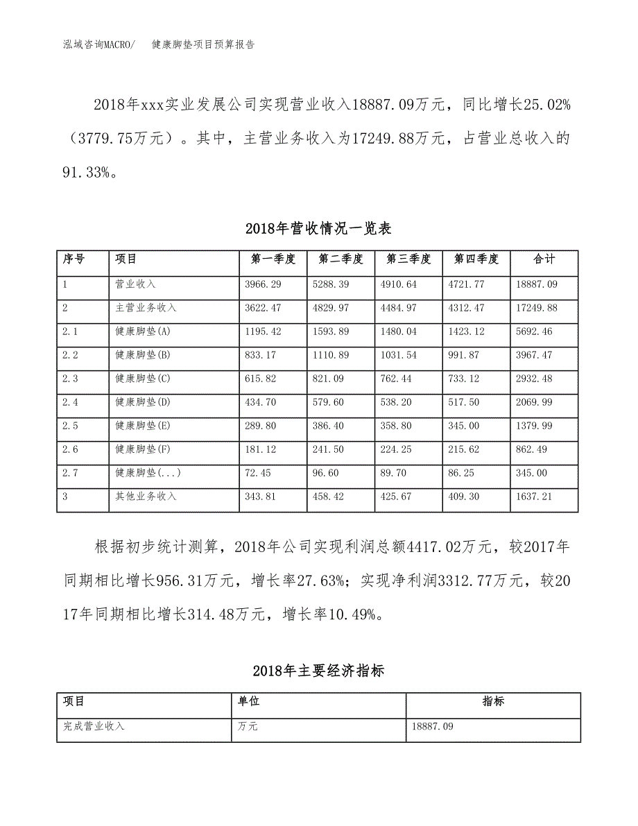 健康脚垫项目预算报告年度.docx_第3页