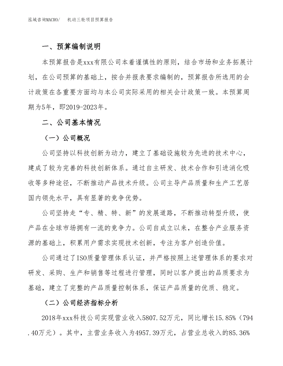 机动三轮项目预算报告年度.docx_第2页