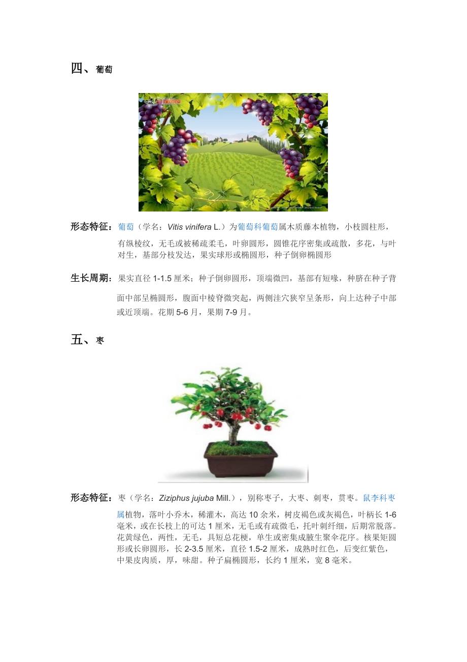 花草果树的生长习性表课案_第3页