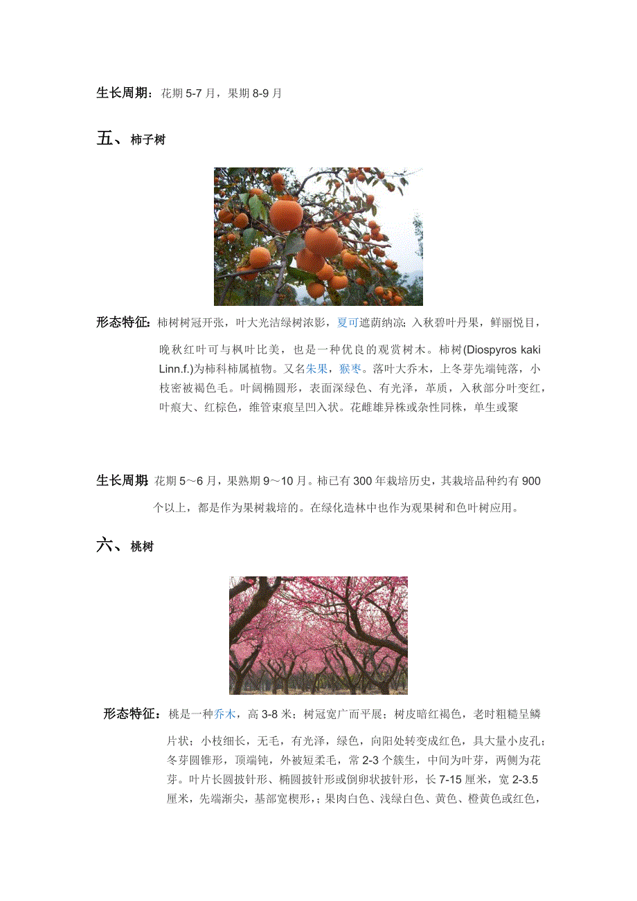 花草果树的生长习性表课案_第4页