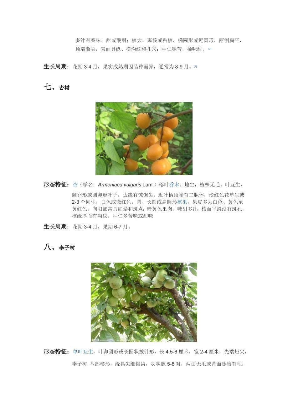 花草果树的生长习性表课案_第5页