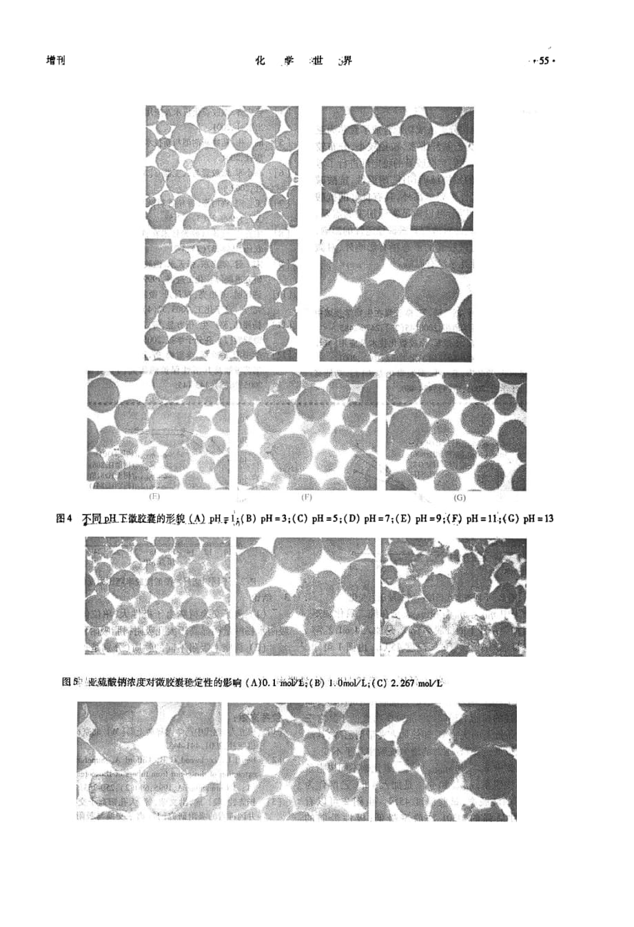 亚硫酸钠微胶囊的制备及其稳定性研究_第3页