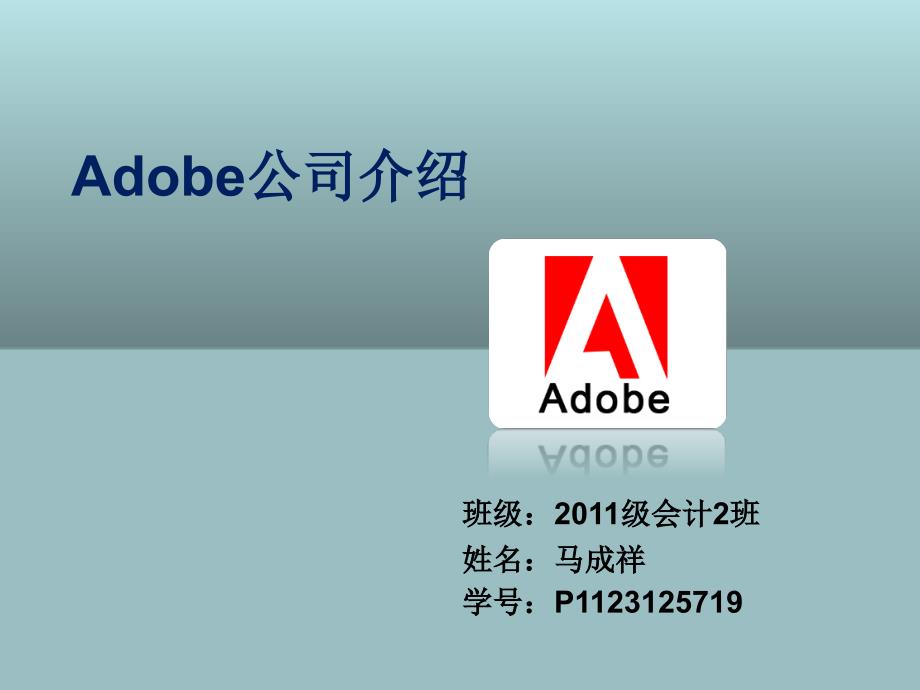 Adobe公司简介_第1页