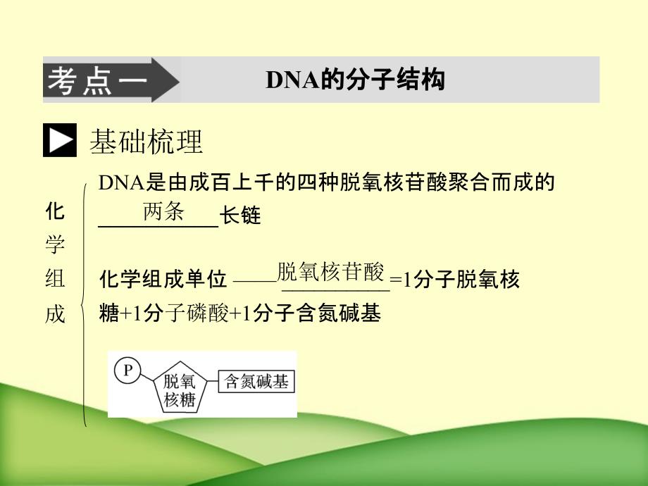 人教教学讲义生物高考一轮复习讲义必修第DNA分子结构_第3页
