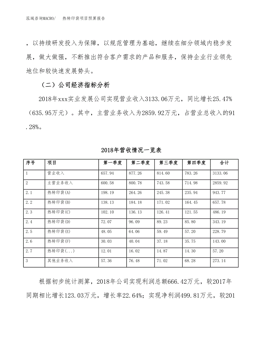 热转印袋项目预算报告年度.docx_第3页