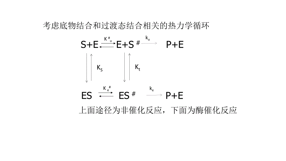 酶催化中过渡态稳定学说剖析_第4页