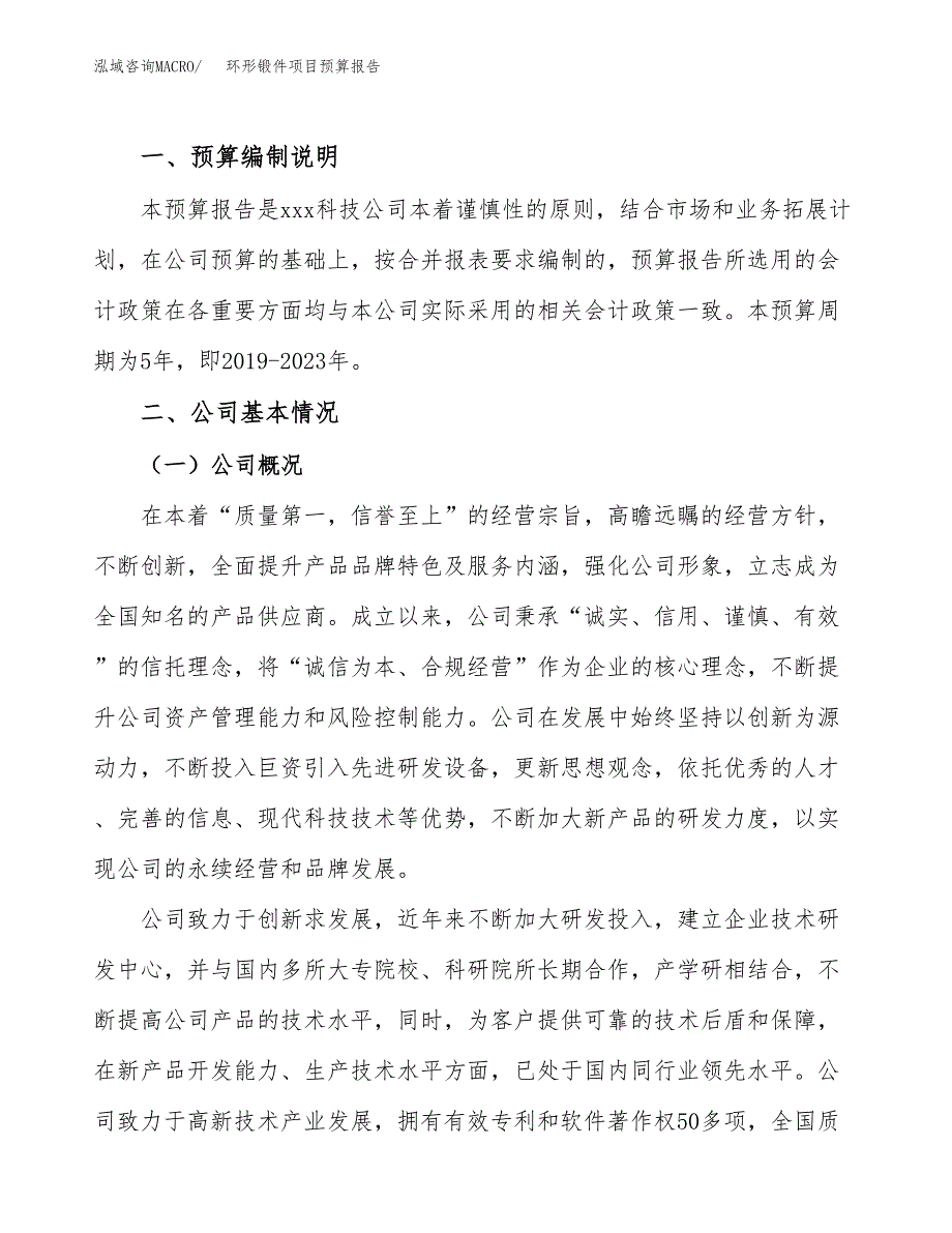 环形锻件项目预算报告年度.docx_第2页