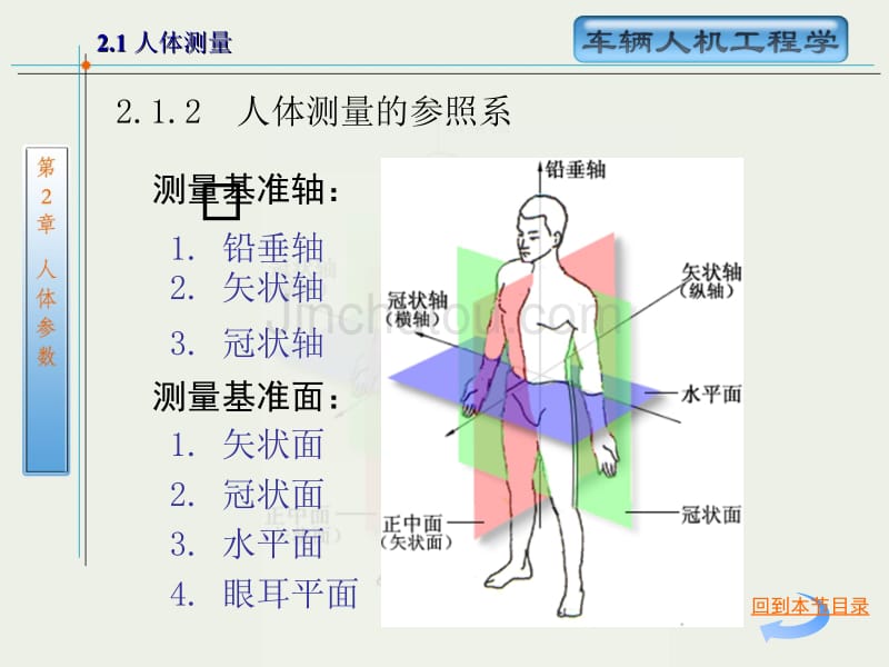 人机工程第2章讲解_第5页