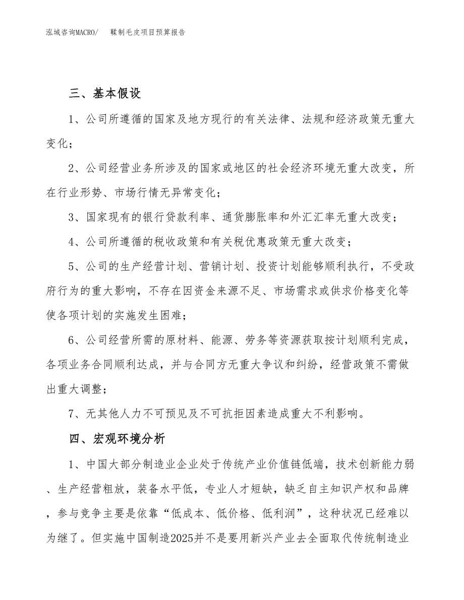 鞣制毛皮项目预算报告年度.docx_第5页