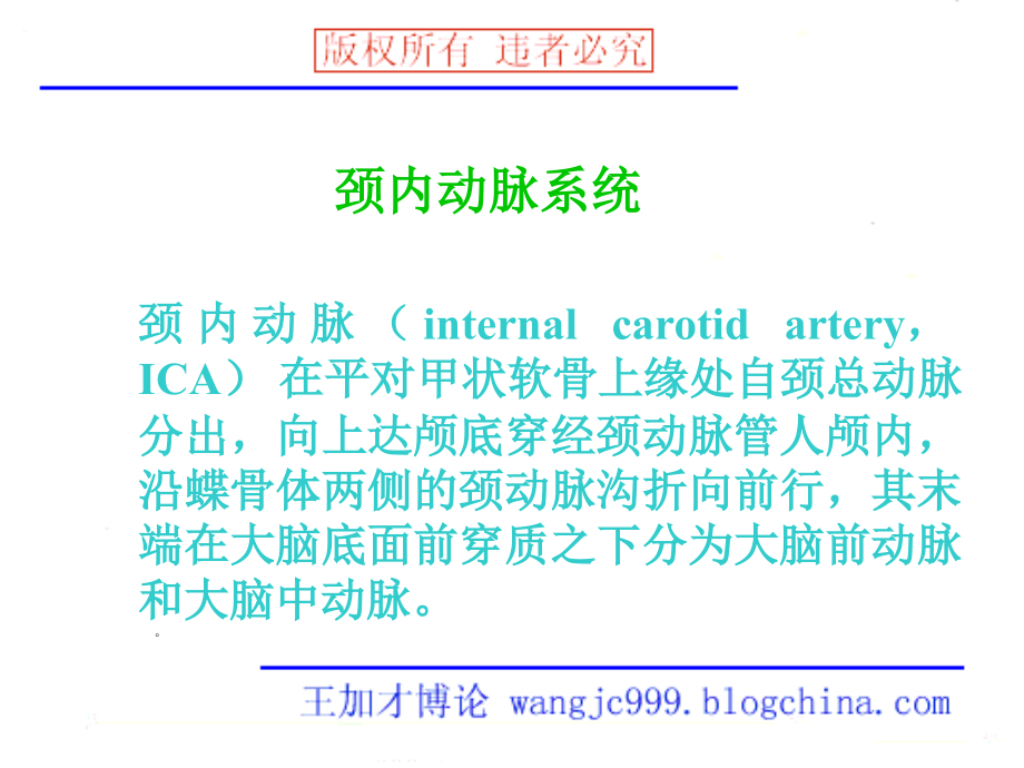 脑血管与影像_第2页