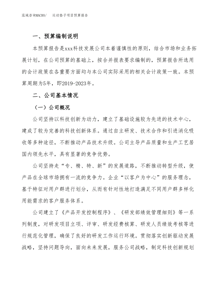 运动垫子项目预算报告年度.docx_第2页