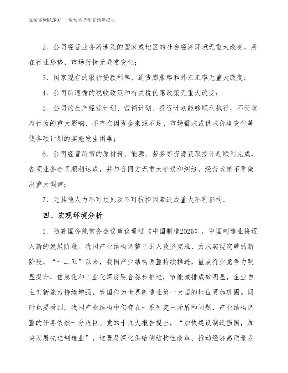 运动垫子项目预算报告年度.docx_第5页