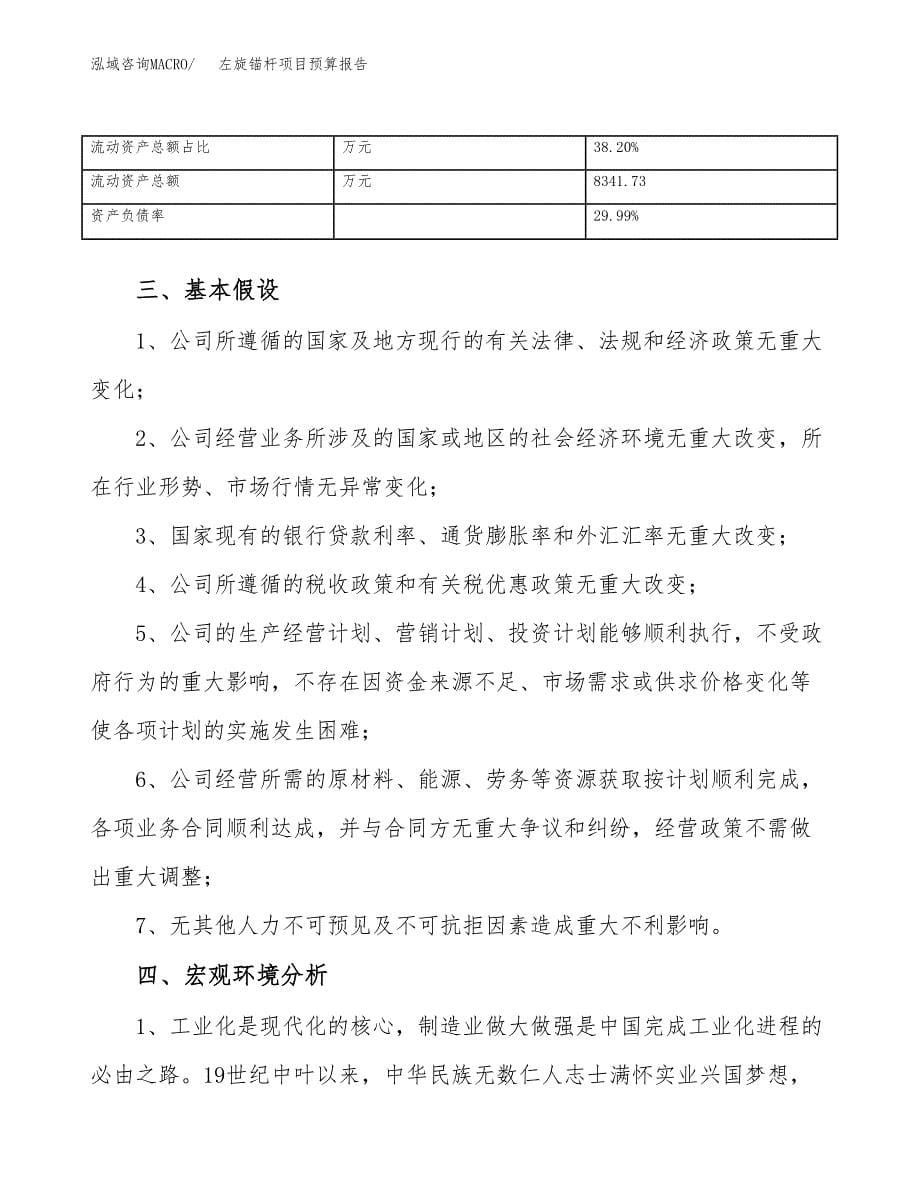 左旋锚杆项目预算报告年度.docx_第5页