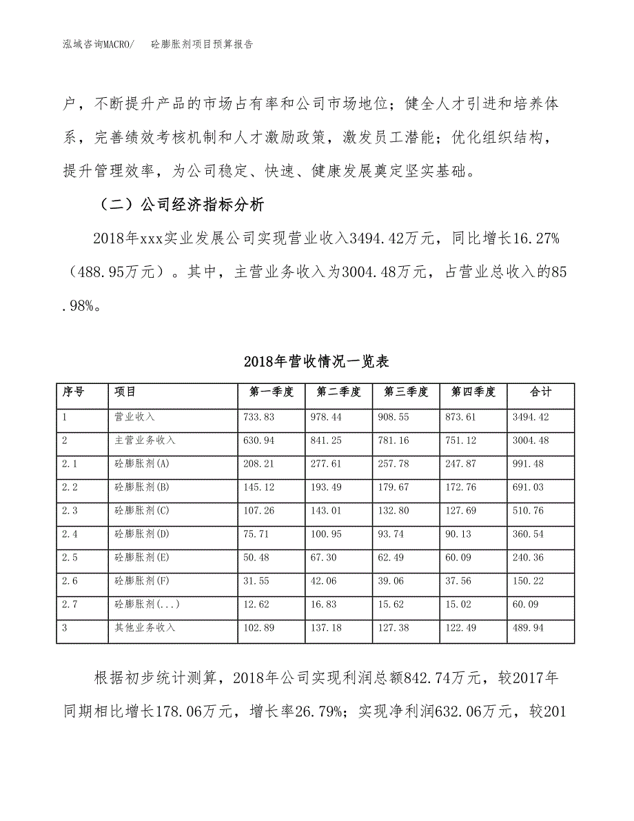 砼膨胀剂项目预算报告年度.docx_第4页