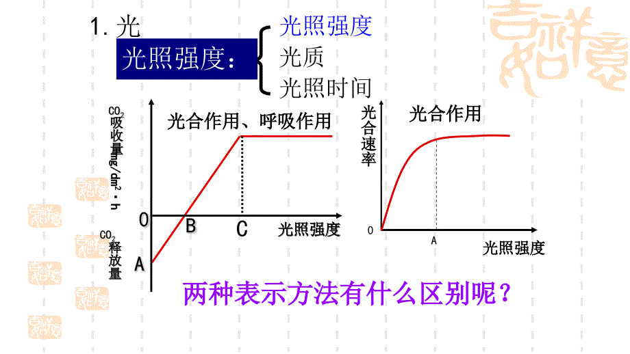 光合作用的影响因素剖析_第4页