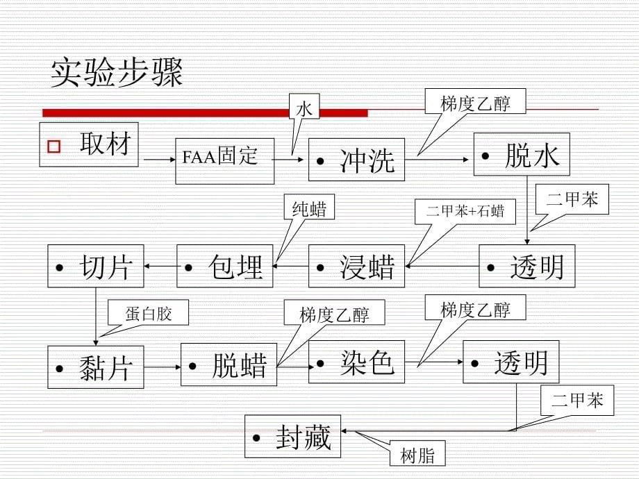 生物制片显微绘图染色体和核型分析技术._第5页