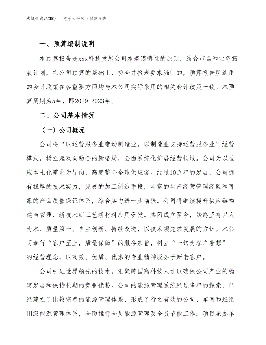 电子天平项目预算报告年度.docx_第2页