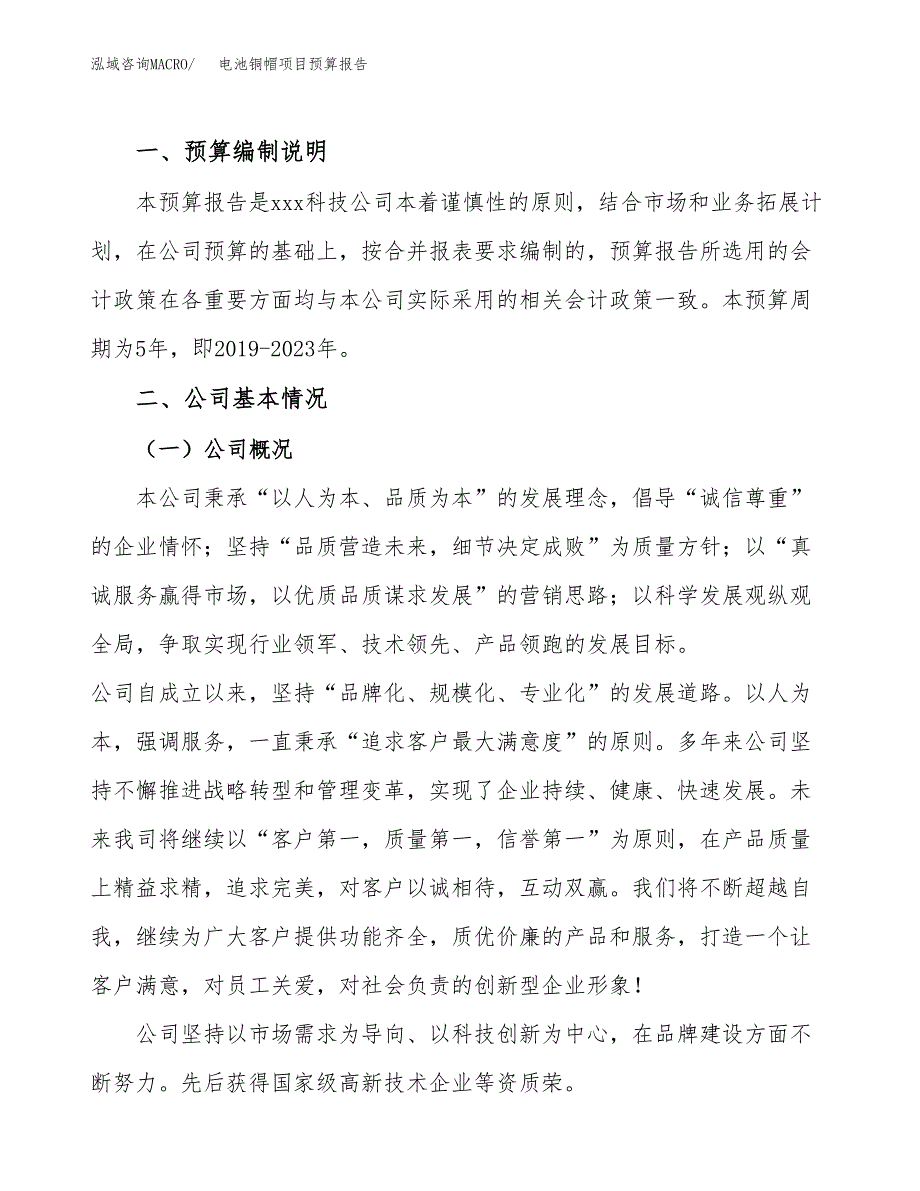 电池铜帽项目预算报告年度.docx_第2页