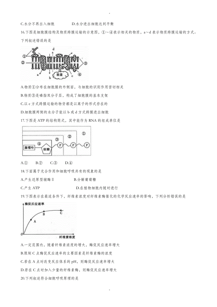 河北省承德市联校2019-2020学年高一上学期期末考试生物试题(有答案)_第3页