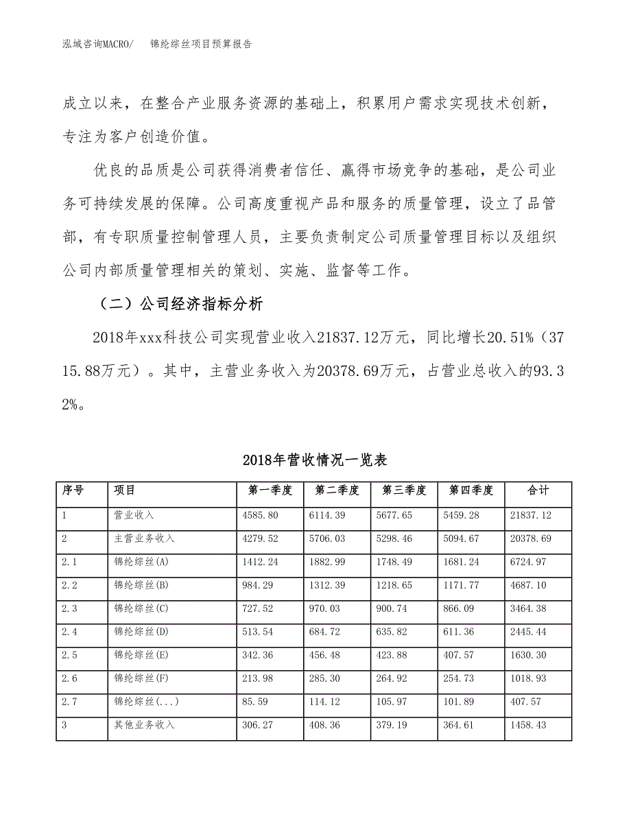 锦纶综丝项目预算报告年度.docx_第3页