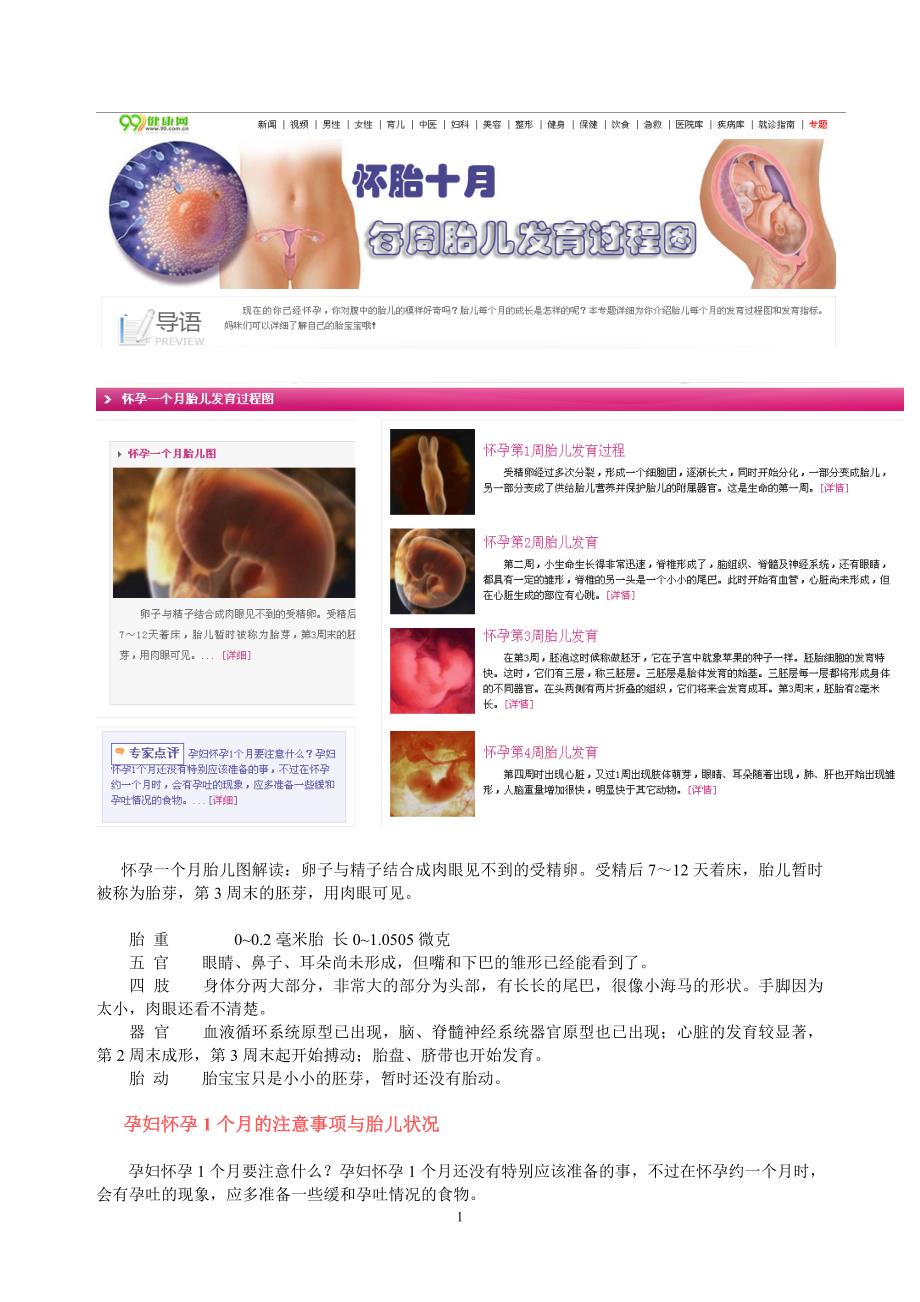 怀孕十月胎儿发育过程图资料_第1页