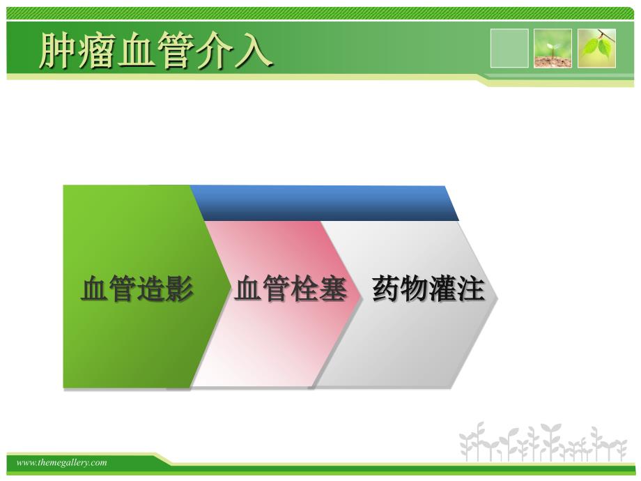 湖南肿瘤医院介入治疗中心卢平_第3页