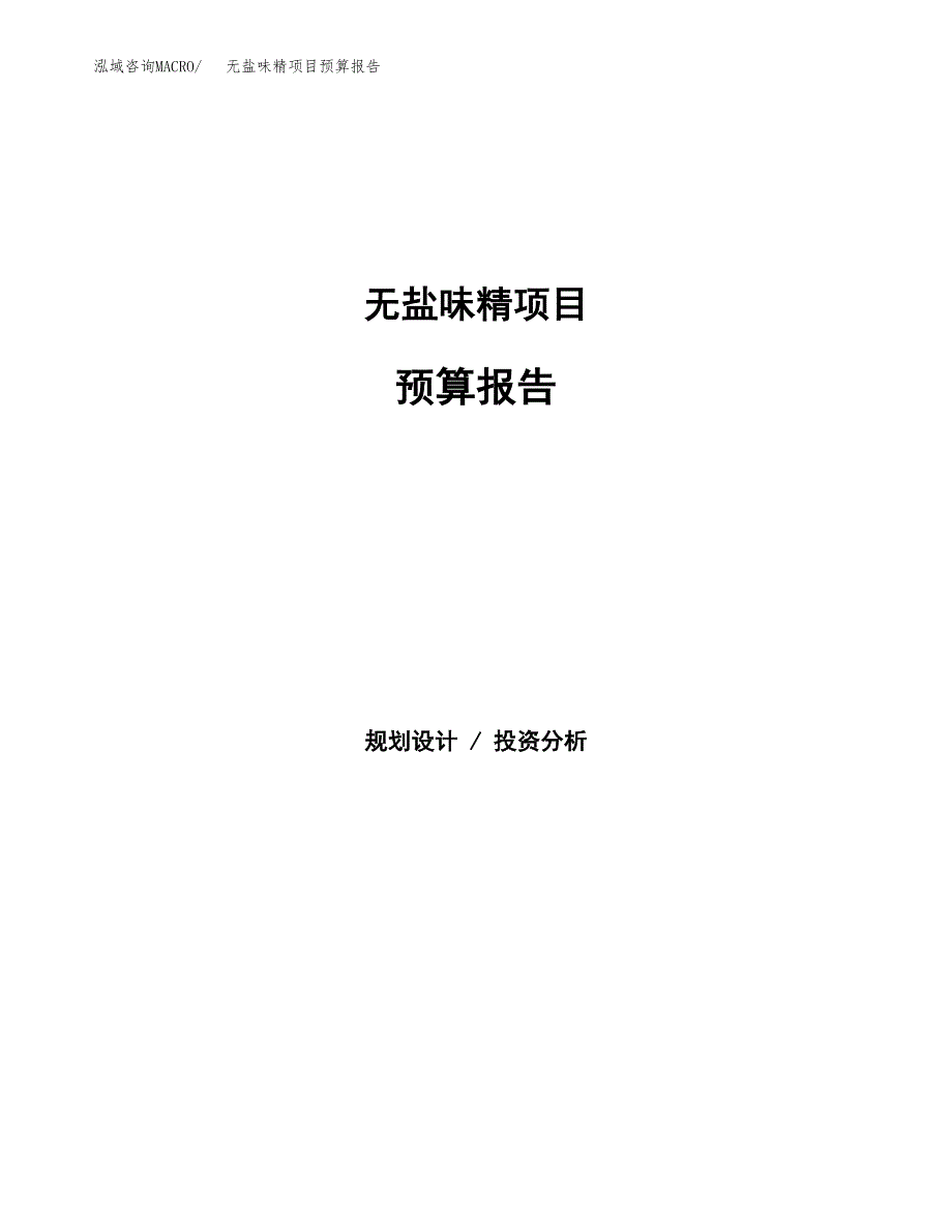 无盐味精项目预算报告年度.docx_第1页