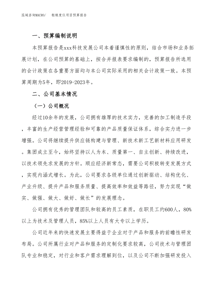 粗糙度仪项目预算报告年度.docx_第2页