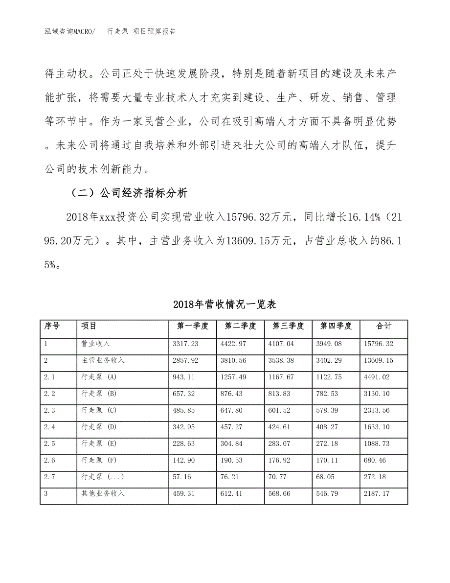 行走泵 项目预算报告年度.docx_第3页