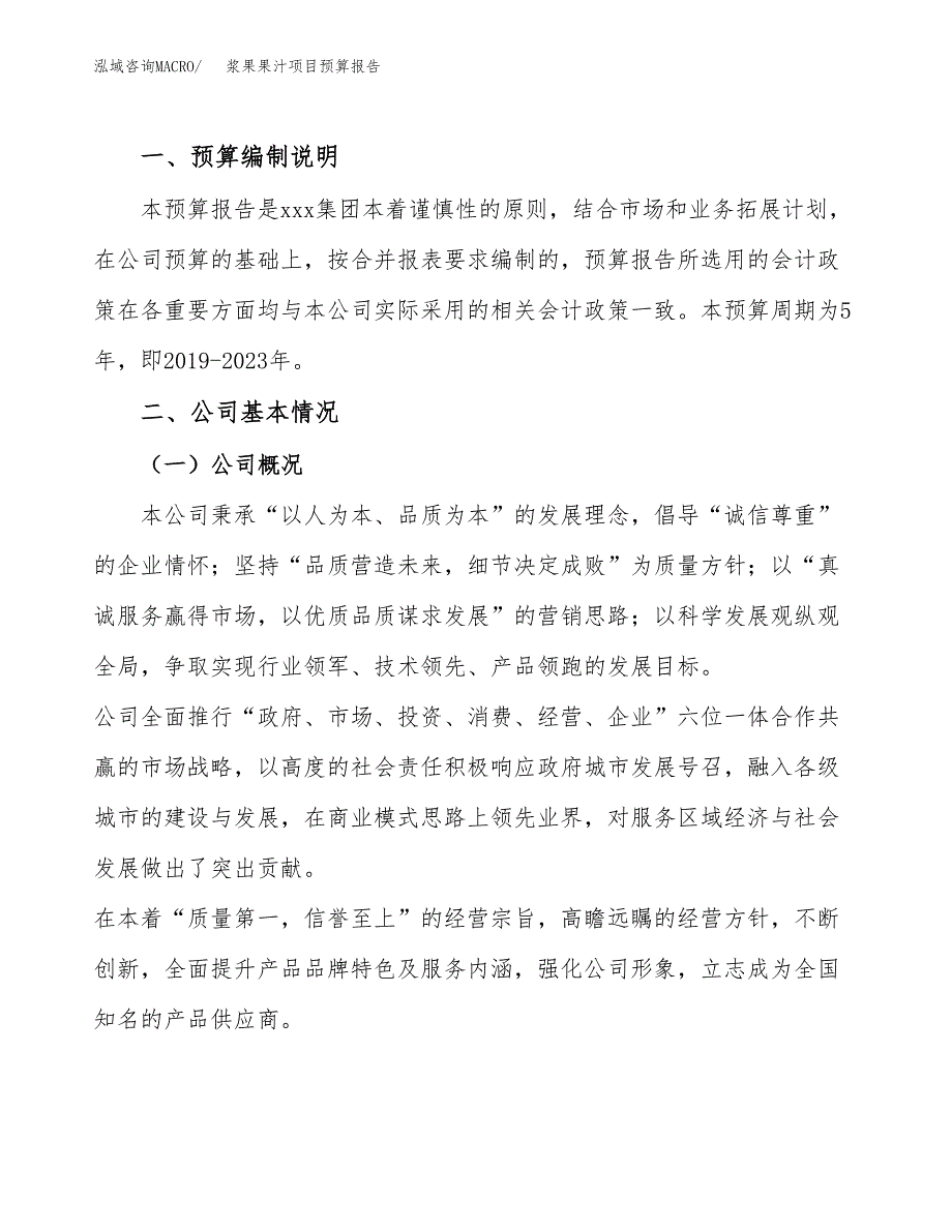 浆果果汁项目预算报告年度.docx_第2页