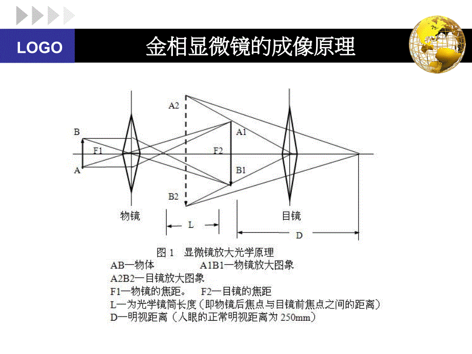 金相显微镜剖析_第3页