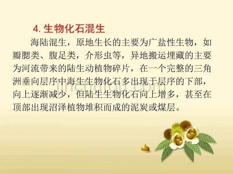 三角洲相的鉴别标志._第5页