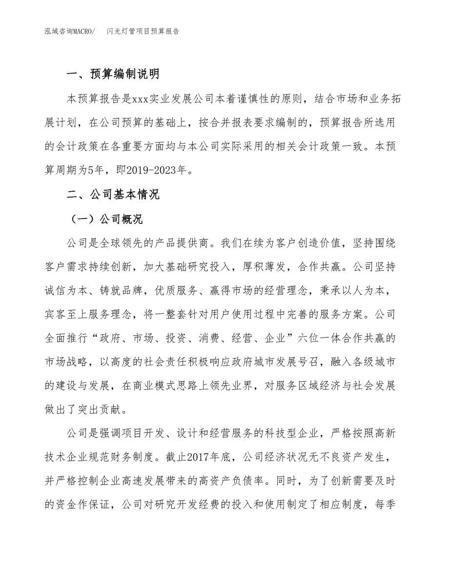 闪光灯管项目预算报告年度.docx_第2页