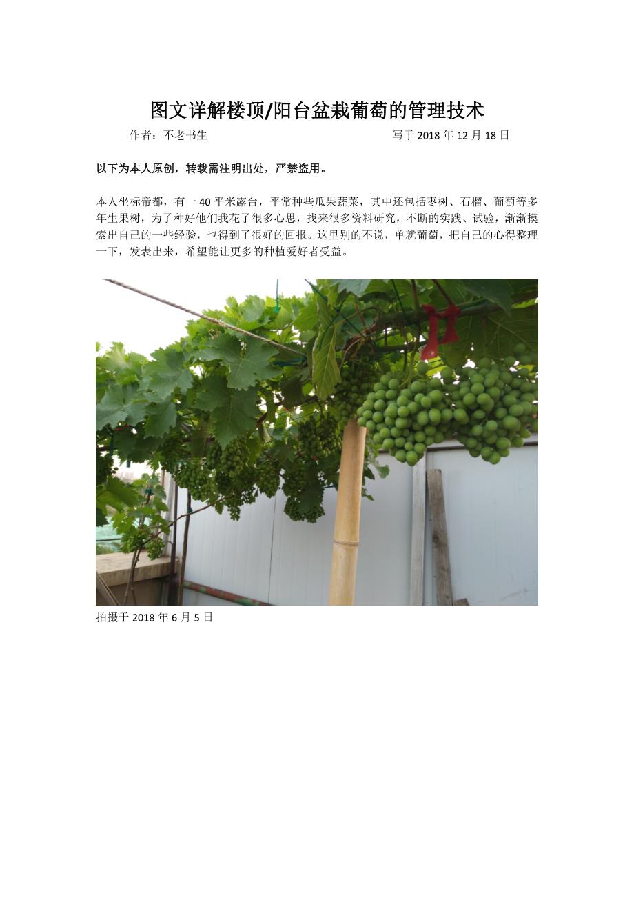 图文详解楼顶阳台盆栽葡萄的管理技术资料_第1页