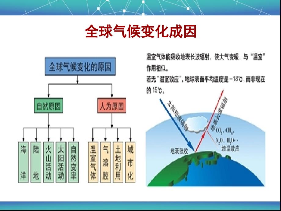 全球气候变化对野生动物的影响 王子涵讲解_第3页