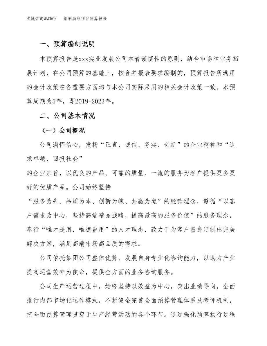 钢刷扁线项目预算报告年度.docx_第2页