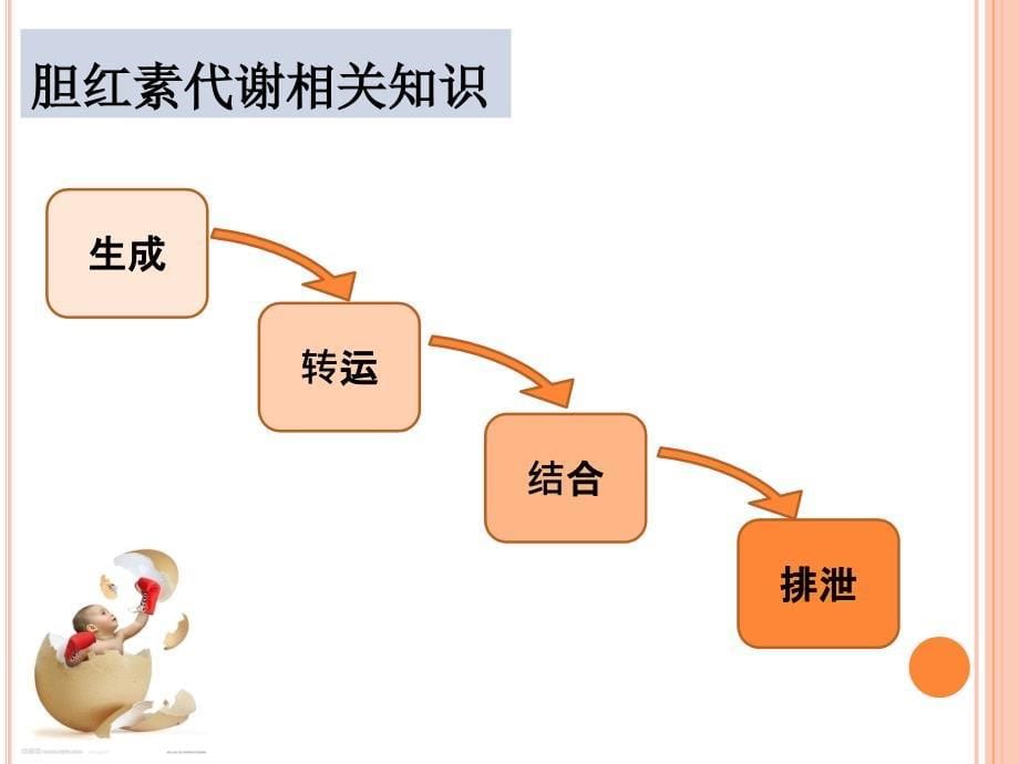 新生儿黄疸的护理资料_第5页