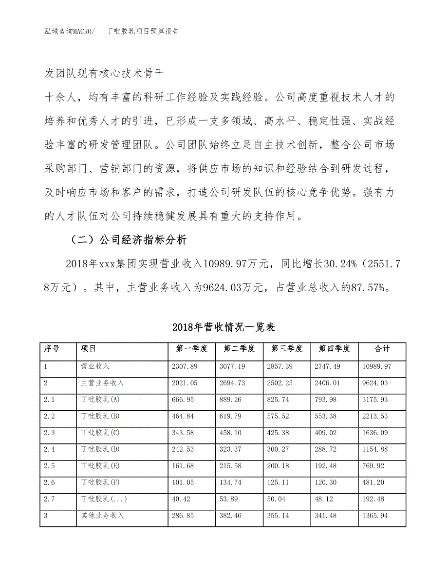 丁吡胶乳项目预算报告年度.docx_第3页