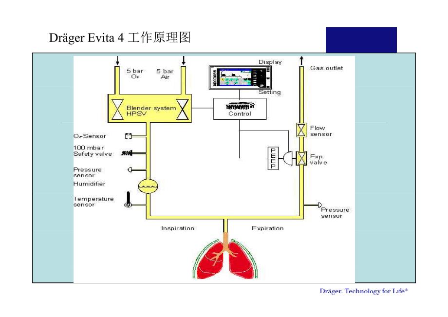 德尔格Evita呼吸机资料_第3页