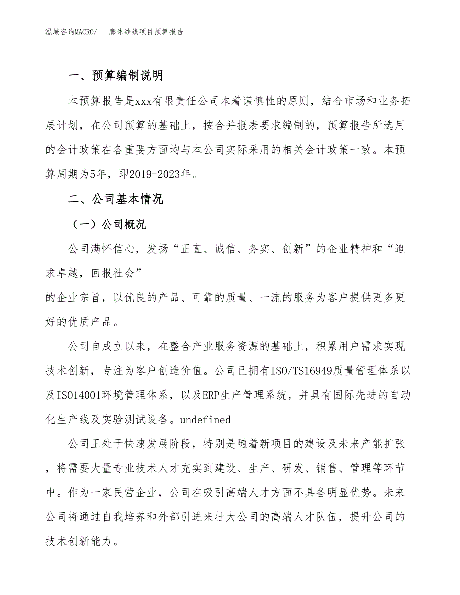 膨体纱线项目预算报告年度.docx_第2页