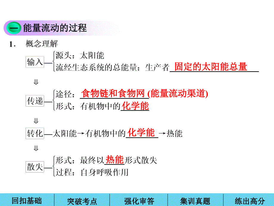 一轮复习之生态系统的能量流动+物质循环讲解_第2页